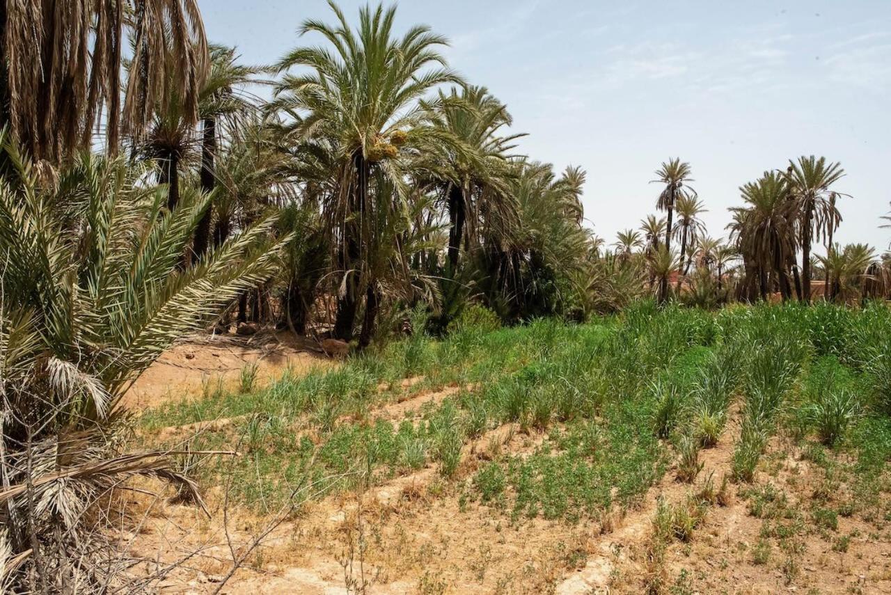 Maison l'étoile du désert Aït Boukha Esterno foto