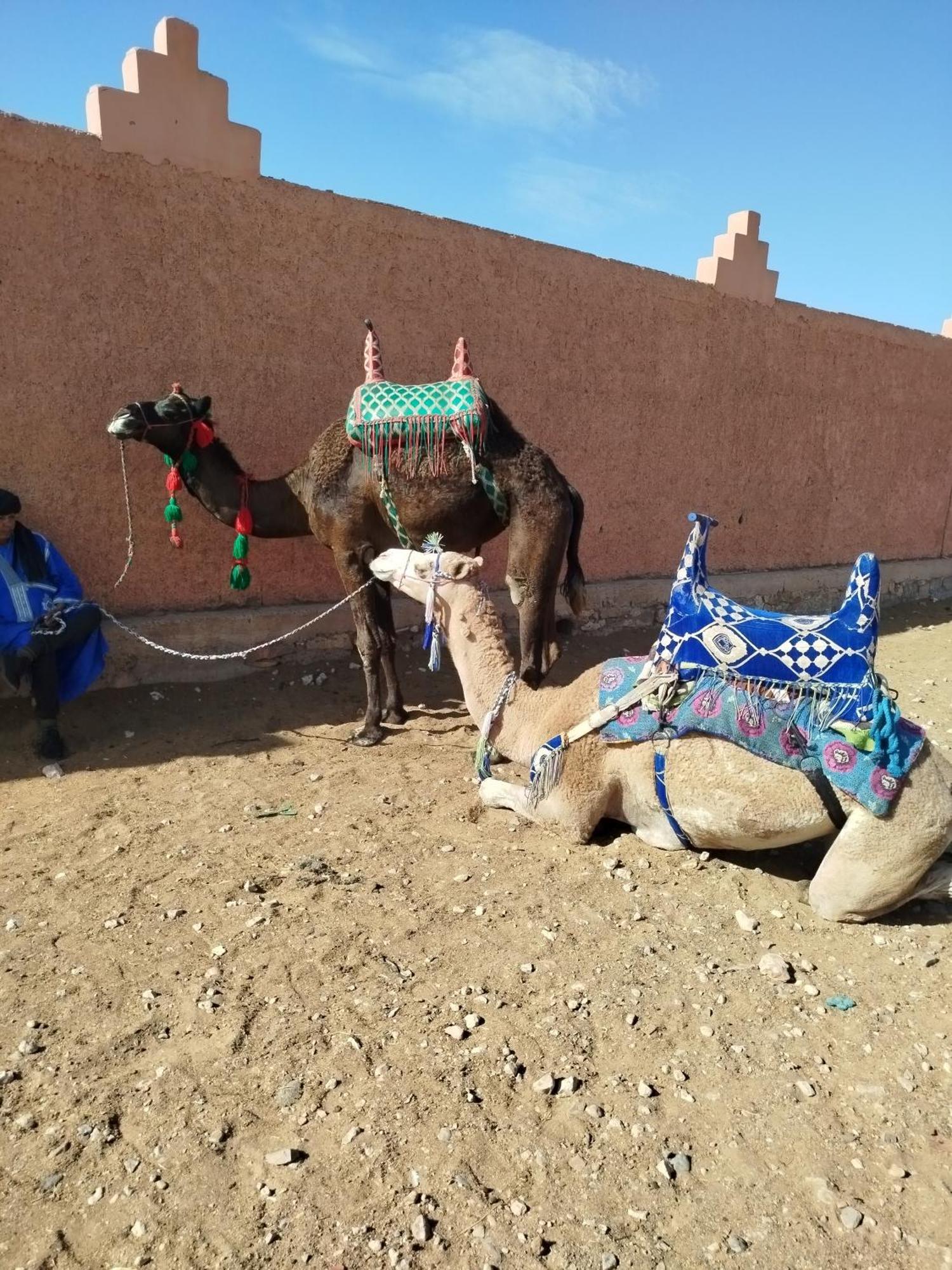 Maison l'étoile du désert Aït Boukha Esterno foto
